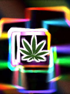 Other Wallpapers 0529